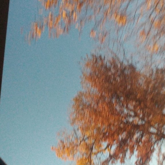 Yo - Picture 1 of 1